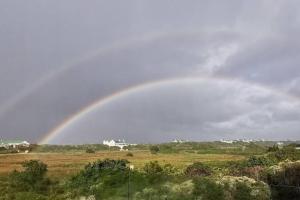The Beech Way Cottage