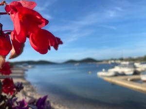 Amore del Mare, seaside family pace, free parking and wifi in Camp Dalmatino