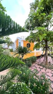 บ้านไร่ฟ้าสวยวังน้ำเขียว Nordic 01