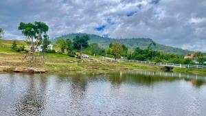 บ้านไร่ฟ้าสวยวังน้ำเขียว Nordic 01