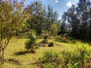 Pequeña y encantadora cabaña en Villa de Leyva