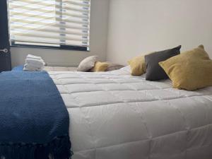 Painestone apartment