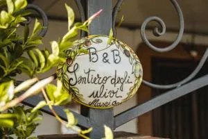 Sentiero Degli Ulivi Mascia - Alvignanello