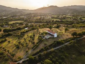 Sentiero Degli Ulivi Mascia