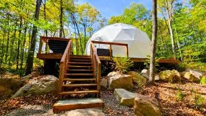 Dôme Le Montagnard - Grenville