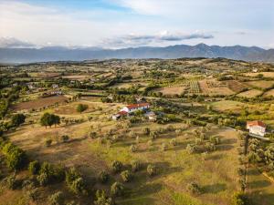 Sentiero Degli Ulivi Mascia