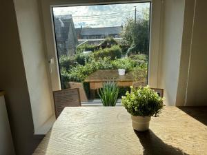 Appartement Ô Tranquil