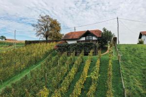 Hiška Brajda - 3hvězdičkové hotely ve městě Rogaška Slatina