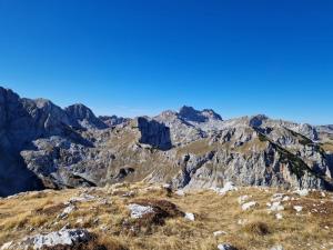 Vikendica Aleksandra