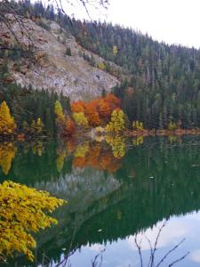 Vikendica Aleksandra