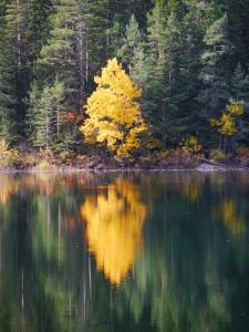 Vikendica Aleksandra