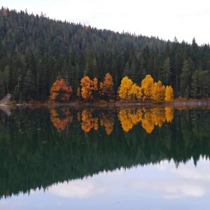 Vikendica Aleksandra