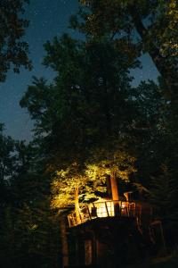 Treehouse Bojnice