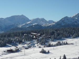 Appartement duplex 6 pers, Les Saisies, proche pistes - FR-1-293-233