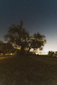 Agriturismo San Felicissimo