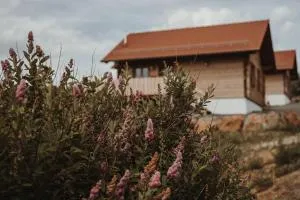 Oberwald Chalets 1 - 肖顿