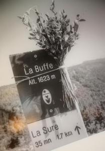 Hotels Hotel Restaurant La Buffe : photos des chambres