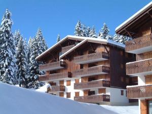 Appartement 4 pers, 25 m², vue montagne, Les Saisies - FR-1-293-291