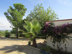 Villa Alare