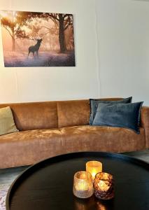 Chalet de Veluwe Europarcs