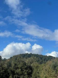 Hermosa casa en parcela