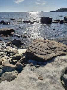 Luonnon rauhassa kodikas loma-asunto