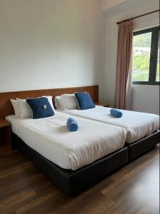 NEW 6pax 3BR Sunrise view 100m Attractive Places Kea Farm