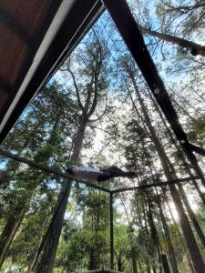 Cabaña Onix - La Pascana Ecolodge