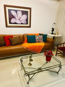 ótimo apto amplo, claro e arejado próximo expominas