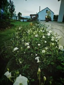 Klipfontein Rustic Farm & Camping - Op-die-Berg