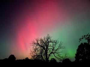 Tanyard Barn - North Yorkshire