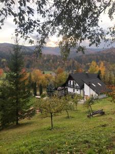 Cabana Runcul Cailor