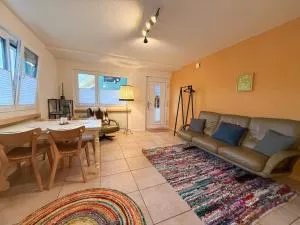 Ferienwohnung auf Ziegenhof - 菲利苏尔