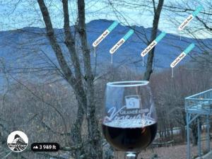 1MMView-2Kings-HotTub-PoolTable-Arcade-Waterfall