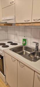 Spacious 4BR Apartment Särkilahti