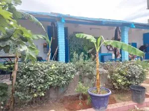 Slim's House - Sea View Cabana - Hanshīr Qaşr Ghallāb