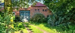 Rust en Stilte in de Natuur - Onstwedde