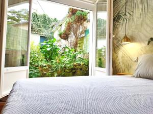 Appartements NOUVEAU - Calme - Quartier historique - WiFi - Parking : photos des chambres