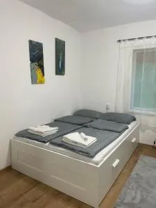 Lavanda 3 - Čortanovci