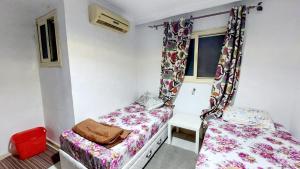 سموحه الإسكندرية