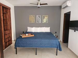 Loft nuevo en Zona Romántica 203