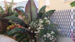 Appartement avec piscine et parking privé