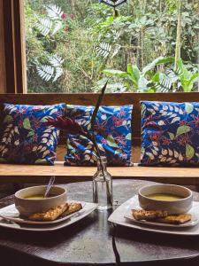 Hotel El Abrazo del Arbol