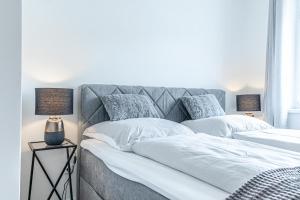 Chic 1BR and 1LR Apt in Central Vienna