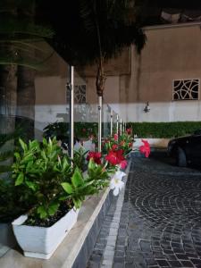 Home Santa Chiara Marigliano