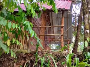 Glamping el Bosque San Luis - San Luis