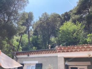 Maisons de vacances Appartement independant dans villa Eze bord de Mer : Maison 1 Chambre