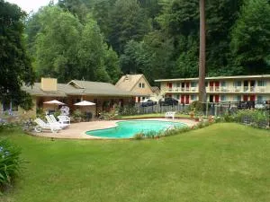 本洛蒙德圣克鲁兹山品质酒店 - Felton