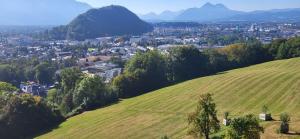 Stadtbauernhof Salzburg - Ferienwohnung - Gut Unterleithen - farm & the city