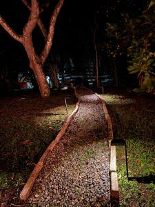 Glamping Colibrí, bosque vecino y vista a la montaña al mismo tiempo